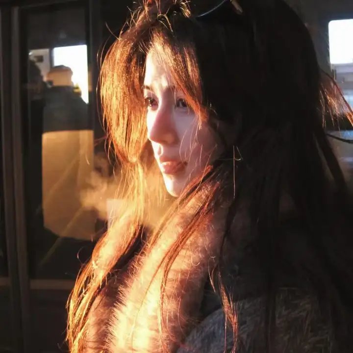 警花燕子